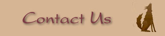 Contact Us